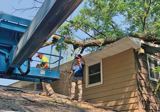 The company’s tree removal services help mitigate any further damage from a fallen storm-damaged tree to surrounding homes and structures.